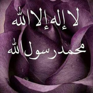 Meet your Posher, وادي